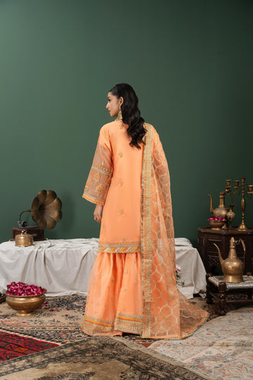 Luxury Organza Gharara for Women