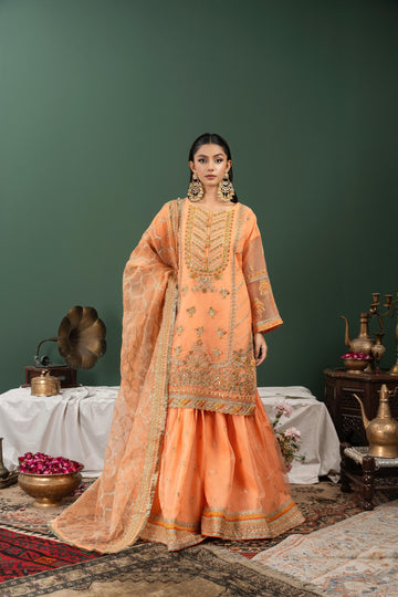 Luxury Organza Gharara for Women