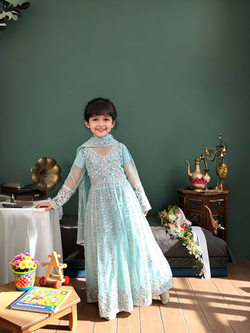 Luxury Net Frock for Kids
