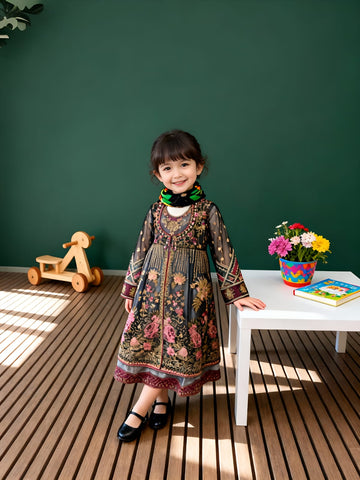 Luxury Net Open Gown Frock for Kids
