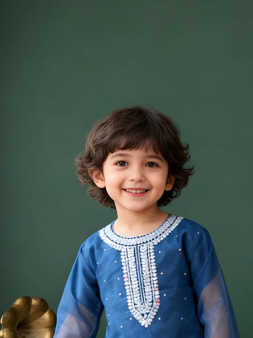 Stylish Organza Dress for Kids