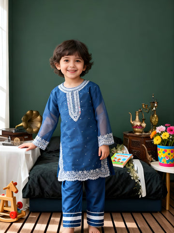 Stylish Organza Dress for Kids